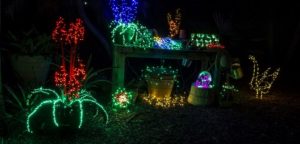 Garden of Lights at Heathcote Botanical Gardens