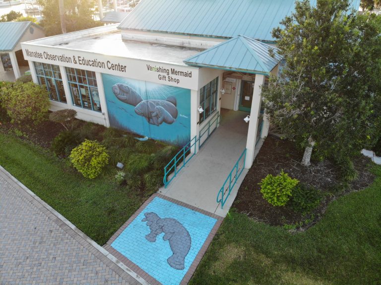 Member Spotlight – Manatee Observation and Education Center