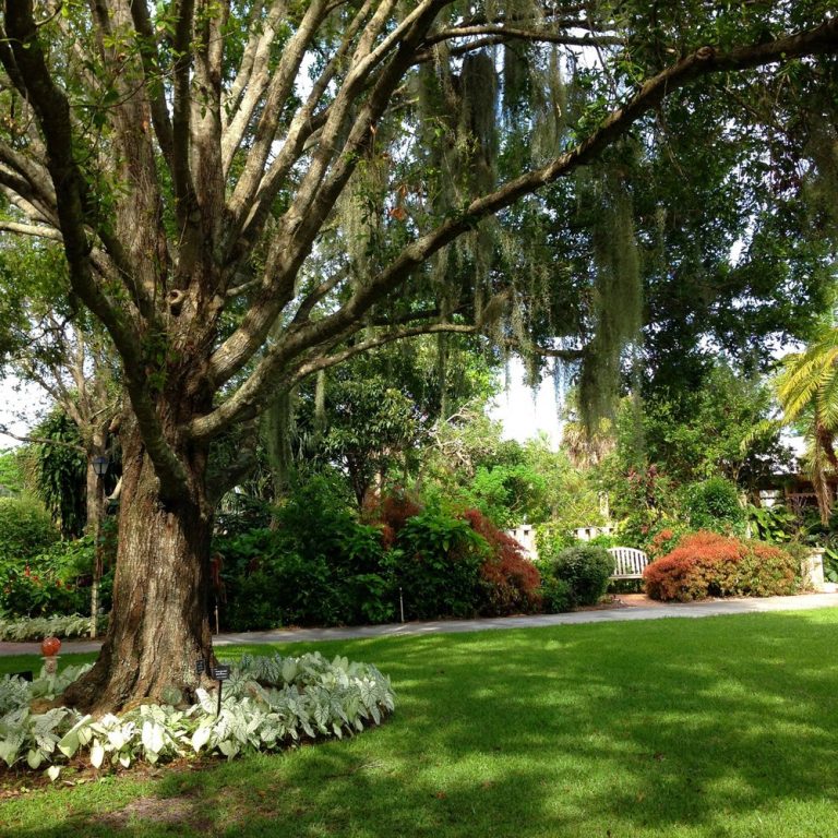 Member Spotlight – Heathcote Botanical Gardens