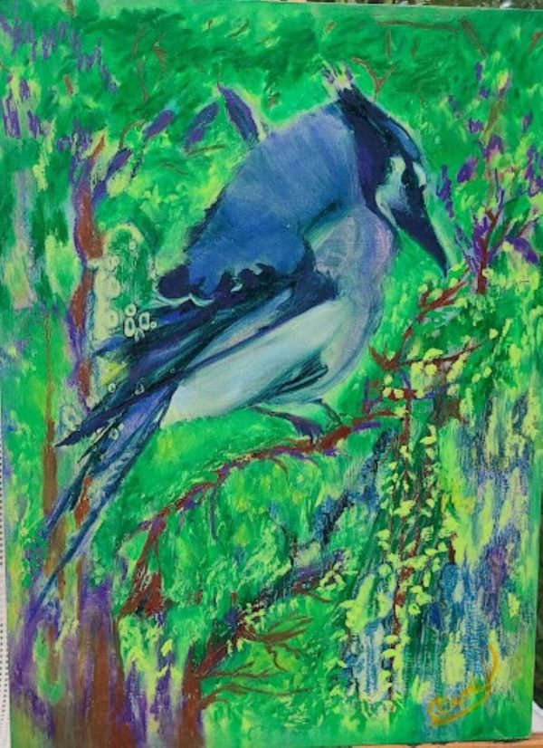 Caridad Faust "Blue Jay in my Garden"