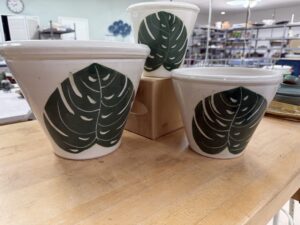 Treasure Coast Pottery - "Monstera Pots"