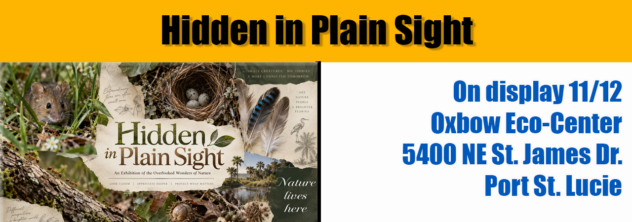 Nature Art Exhibition at Oxbow Eco Center in Port Saint Lucie